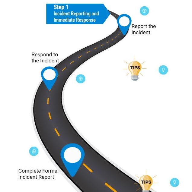 SIIM for Organisations  
